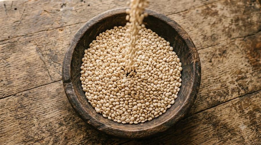 Sorghum (Jowar)